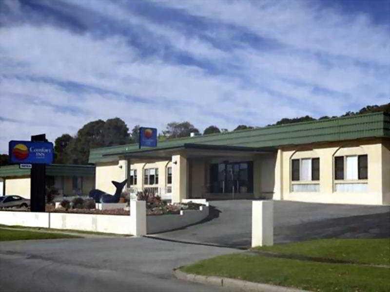 Surestay Hotel By Best Western The Clarence On Melville Albany Exterior photo